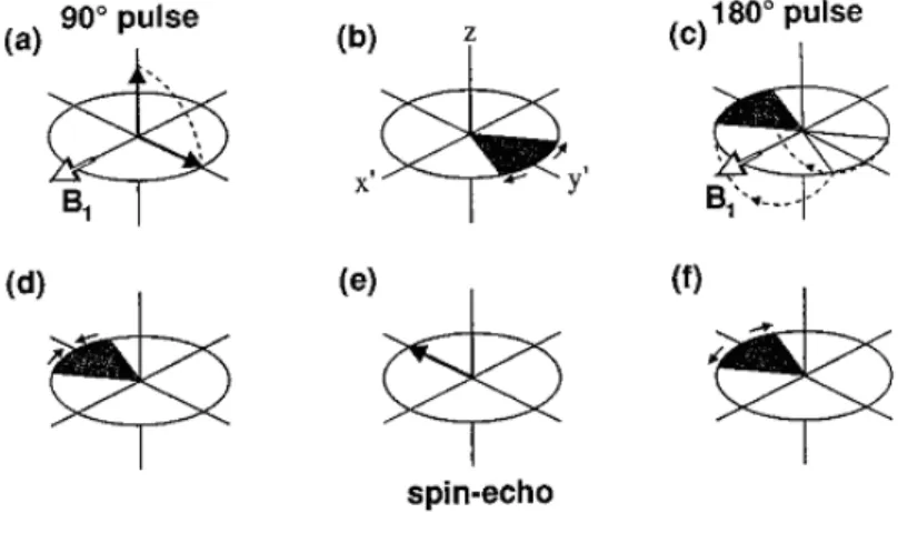 Figura 1.8: Esperimento SE visto dal sistema  di riferimento rotante.