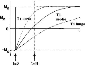 Figura 1.6: Mz in funzione del tempo in  una sequenza IR.
