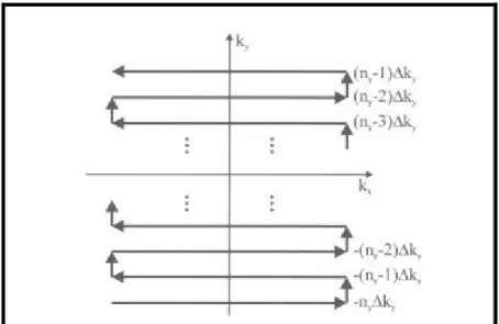 Figura 3.6: Modalità di riempimento del k-spazio usando   la sequenza EPI. 