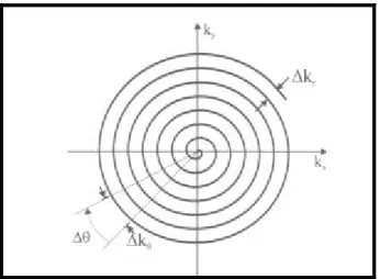 Figura 3.9: Modalità di riempimento del k-spazio   con la sequenza Spiral. 