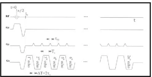 Figura 3.5: Rappresentazione della sequenza EPI ad impulso singolo 