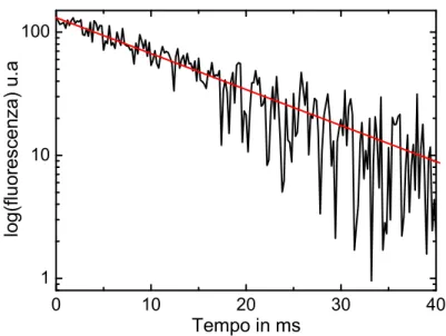 Figura 3.4: Decadimento dell’emissione a 1.5µm dell’Erbio a temperatura ambiente