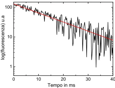 Figura 3.5: Decadimento dell’emissione a 980 nm dell’Erbio a temperatura ambiente