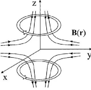 Figura 1.10: Trappola magnetica quadrupolare.