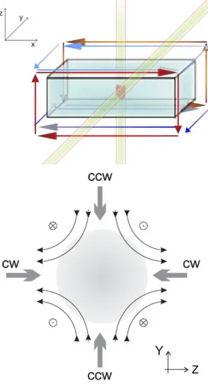 Figura 1.14: Struttura di una MOT 2D . Una configurazione di questo genere crea un confinamento e un raffreddamento solo lungo gli assi x e y