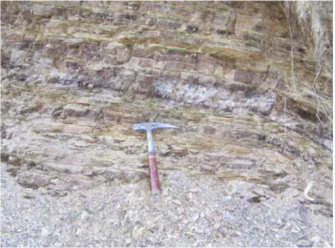 Figura 3.10: affioramento di Diaspri lungo il sentiero per Verni; il detrito ai piedi della  formazione conferma le caratteristiche scadenti della roccia
