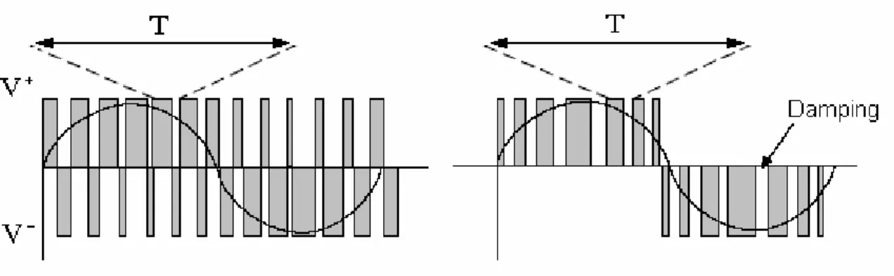 Figura 1.4: Binary PWM e Damped Ternary PWM 