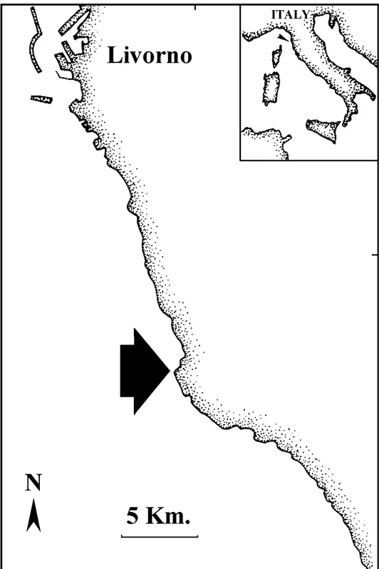 Fig. 2.1. E’ tracciato il profilo costiero del tratto di costa a sud di  Livorno. La freccia indica la località in cui sono stati svolti gli  esperimenti