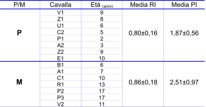 Tabella 4.1: Suddivisione delle cavalle in primipare (=P) e multipare (=M). 