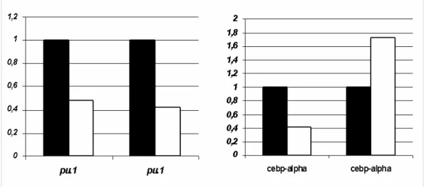 Figura 4.5 Analisi densitometrica delle bande ottenute in Figura 4.4. Wild type (nero) e Otx1 -/-  (bianco), (programma Scion Image)