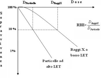 Figura 2.4: Curve di sopravvivenza di cellule esposte a radiazioni di alto e basso LET.