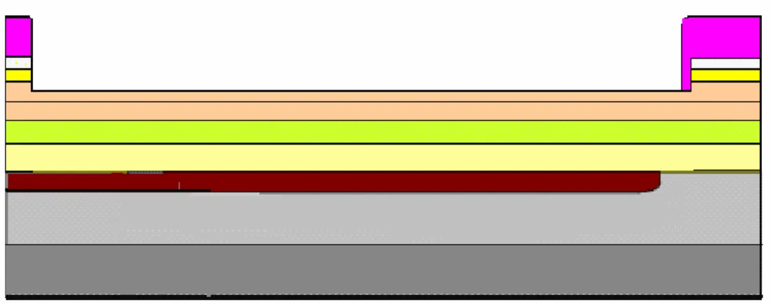 FIG. 3.8- sezione longitudinale del campione dopo il passo litografico.  