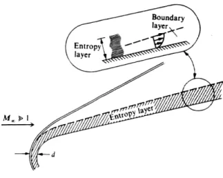 Figura 1.2 Entropy Layer ([1]). 