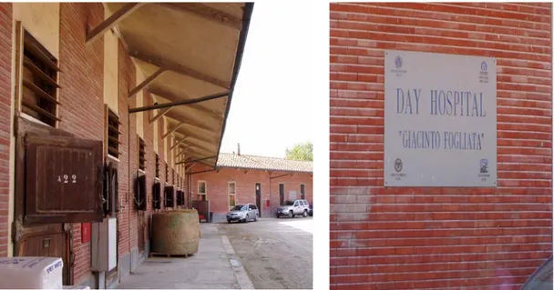 Figura 2.1 - 2.2  :  Day Hospital “Giacinto Fogliata” presso scuderie Alfea, San Rossore (Pisa) 