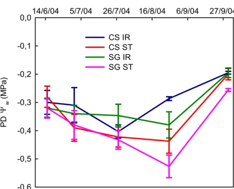 Figura 3.3: Andamento stagionale del potenziale idrico fogliare misurato prima  dell’alba (PDΨ w ) su “Cabernet Sauvignon” (CS) e “Sangiovese” (SG), a  Colignola (PI) durante il 2004, sottoposti (IR) e non sottoposti (ST) ad  intervento irriguo
