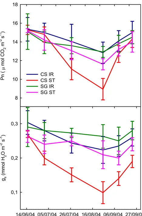 Figura 3.6: Andamento della fotosintesi netta (Pn) e della conduttanza  stomatica (g s ) misurate in piante di “Cabernet Sauvignon” (CS) e “Sangiovese”  (SG), a Colignola (PI) durante il 2004, sottoposte (IR) e non (ST) ad  irrigazione