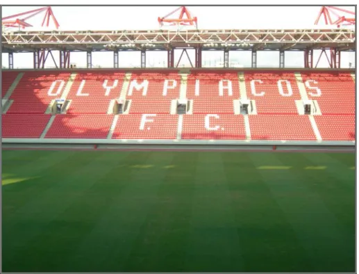 Foto 5: Tappeto erboso ad uso sportivo: campo da calcio.  Stadio Olympiacos Pireo F.C., Atene, Grecia