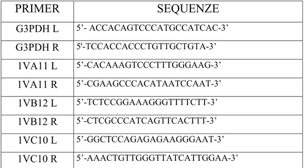 Tab. 3: Sequenze dei primer utilizzati per le RT-PCR relative. 