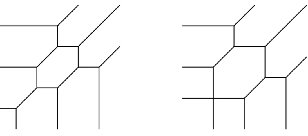 Figura 1.3: Proiezione di cubiche in campo non archimedeo