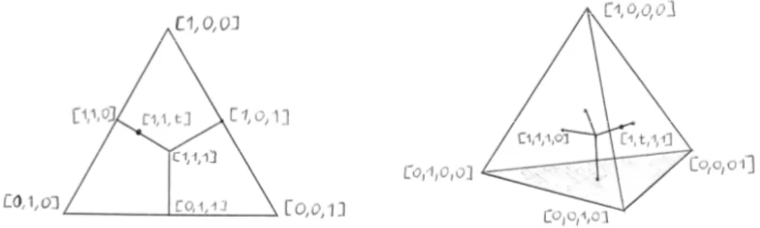 Figura 2.1: Gli 1-piani standard Σ 1 3 e Σ 14