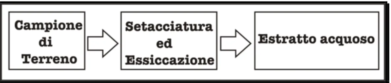 Figura 7: Campione di terreno – Procedura di preparazione prima delle analisi