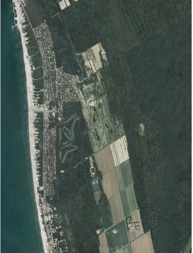Figura 1: foto aerea del litorale pisano 