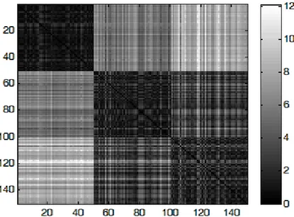 figura 18: Rappresentazione della matrice di dissimilarità del  insieme di dati Iris ottenuta tramite distanza Euclidea