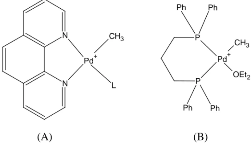 Figura 6: Precursori dei catalizzatori impiegati per la copolimerizzazione di CO ed etilene;  L = CO, C 2 H 4 , S(Me)Ph, CH 3 CN, C 6 H 5 CN