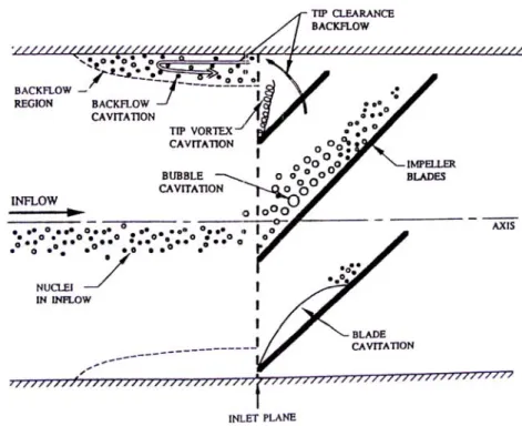Figure 2.3 – Types of cavitation in an unshrouded impeller (Brennen, 1994). 