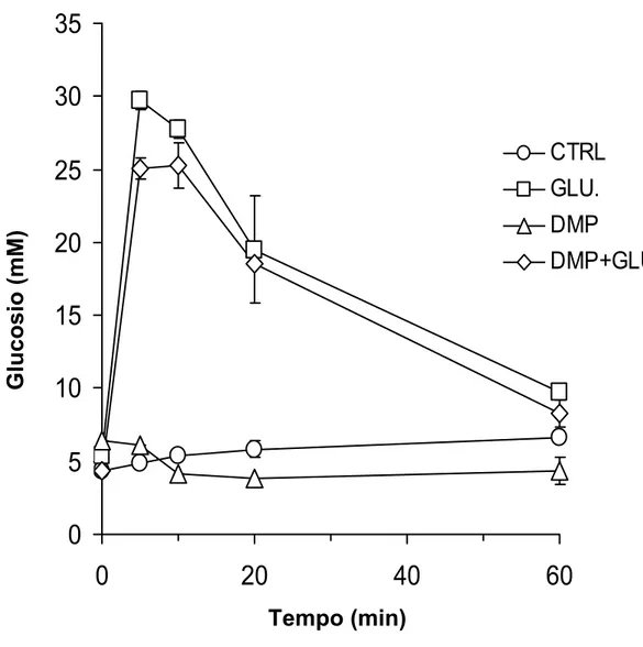 Figura 6 Effetto della somministrazione di glucosio (2g/kg p.c.) sui livelli 