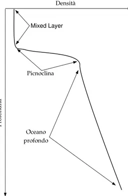 Figura 1.1: Schema della struttura tipica della densità in funzione della profondità nell'oceano.