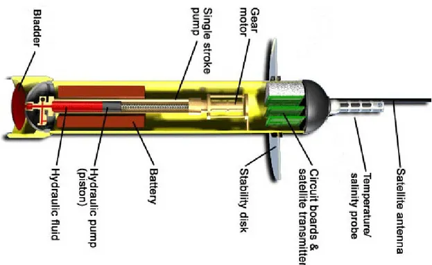 Figura 3.2: Sezione di un galleggiante ARGO . Il liquido idraulico e il serbatoio esterno che