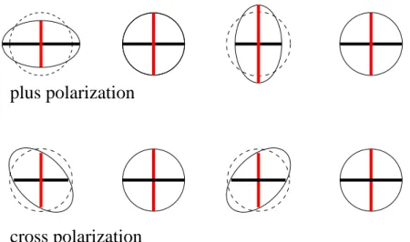 Figure 1.1: Effect on a ring of particles posed on the x-y plane due to the passage of a gravitational wave coming along z axis with a plus polarization or a cross polarization