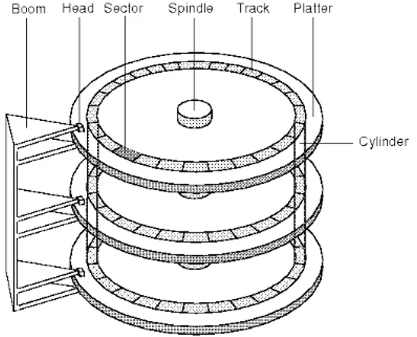 Figura 3.2: Geometria di un hard disk