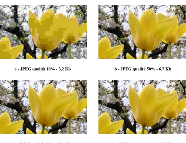 figura 1.12 - esempio di immagine JPG con diversi livelli di compressione 