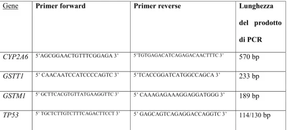 Tabella 1:  primer utilizzati per la genotipizzazione dei polimorfismi dei 4 geni  CYP2A6,  GSTT1, GSTM1 e TP53