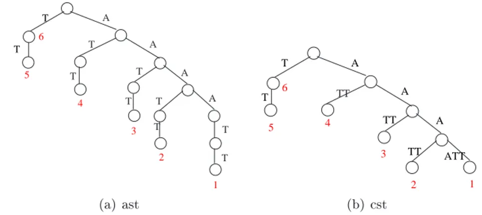 Figura 2.1: Albero atomico e albero compatto dei sussi per la stringa AAAATT.