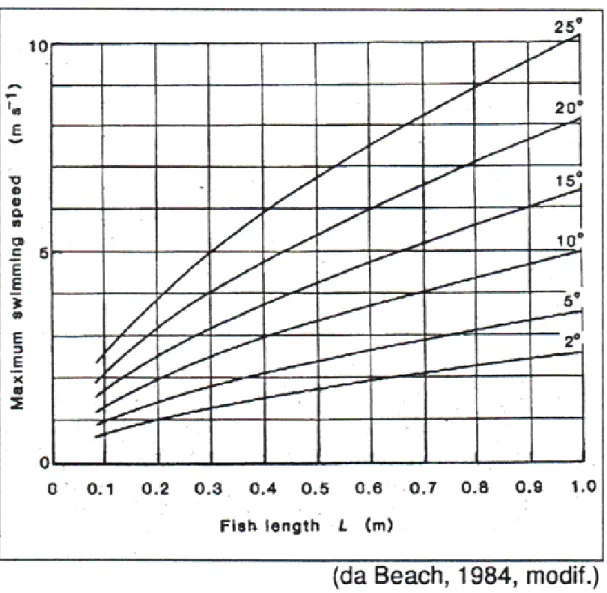 figura 5.2.1: Esprime il legame fra la massima velocità di nuoto (m/s) in ordinata e  la   lunghezza   del   pesce   in   ascissa   (m);   Tale   legame   ha   come   parametro   la  temperatura che viene fatta variare tra 2°C e 25°C.