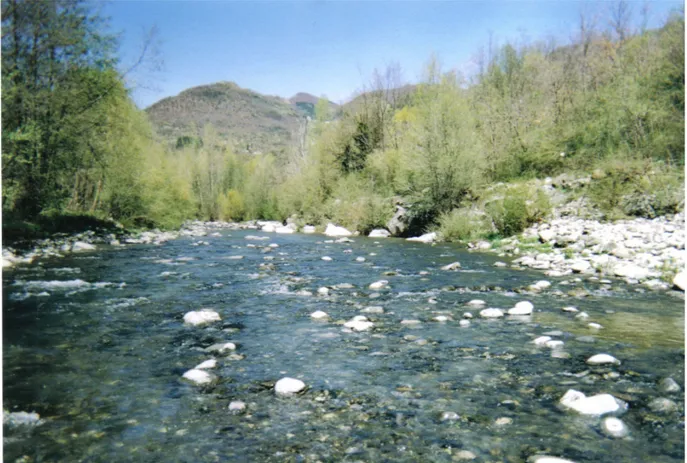 Foto 1.  Sezione ausiliaria vista da valle.