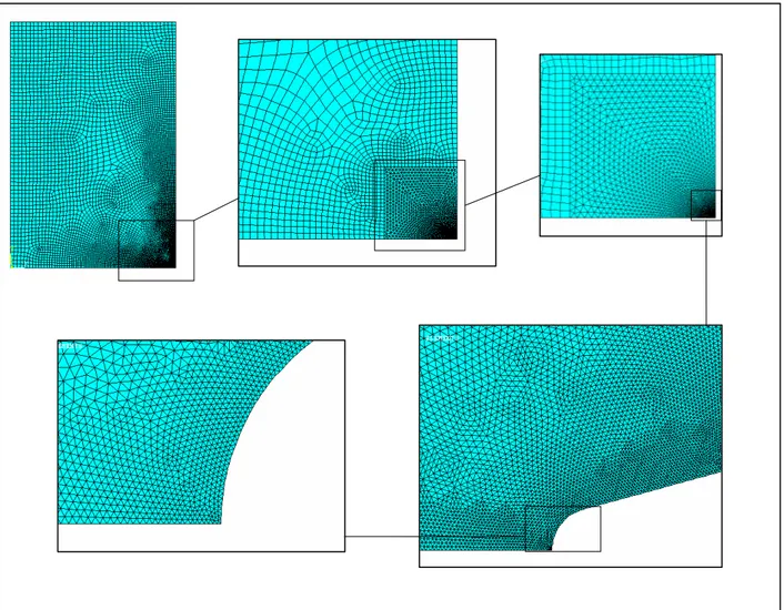 Fig. 3-7 Esempio di meshiatura per la coppia P=0.03 mm, R=0.006 mm. 