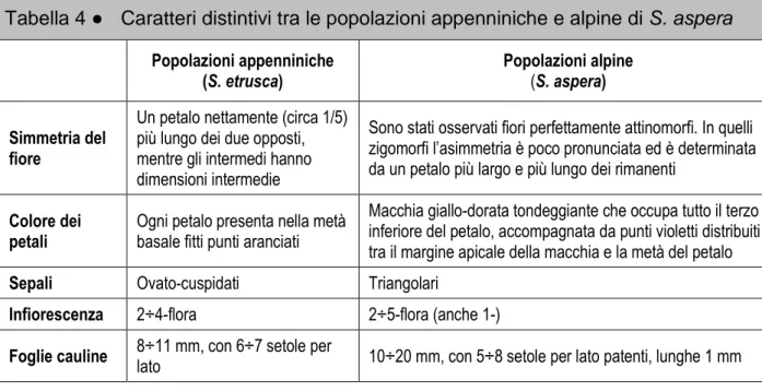 Tabella 4  ●   Caratteri distintivi tra le popolazioni appenniniche e alpine di S. aspera  Popolazioni appenniniche  (S