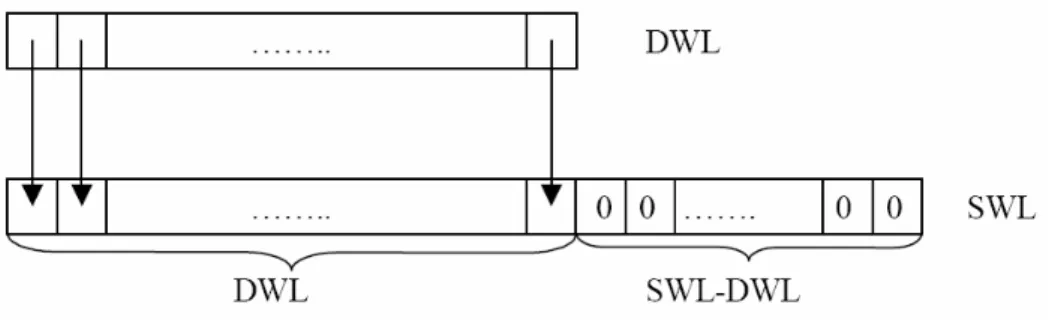 Figura 3.6: Passaggio da DWL a SWL bit nel caso di assenza di RSH. 