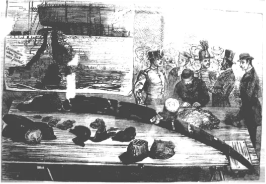 Figura 18:  Litografia dei resti di Elephas (P.) antiquus ritrovati nel Cantiere Orlando di                  Livorno, pubblicata sul giornale inglese “The illustraded London News”