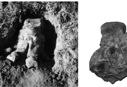 Figura 24:  Zampa posteriore sinistra di Mammuthus (MSNT I 12670) trovata a Lari                    nello sbancamento per lavori agricoli