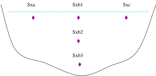 Figura 4.4.1:  Punti di campionamento della generica sezione x della prima campagna (il 