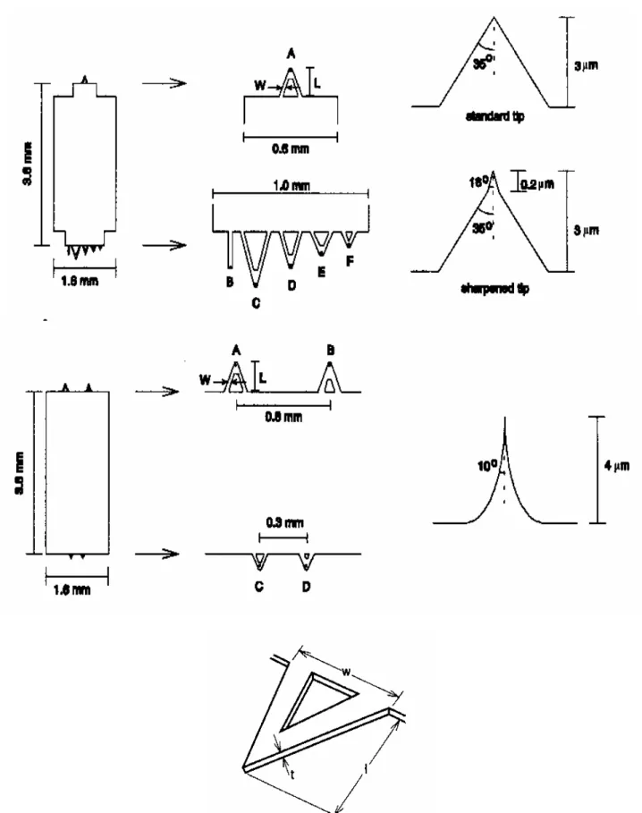 Figura B.4 Esempi di chip,  cantilevers, e punte usati per le scansioni in C-AFM (in alto) e NC-AFM (al  centro)