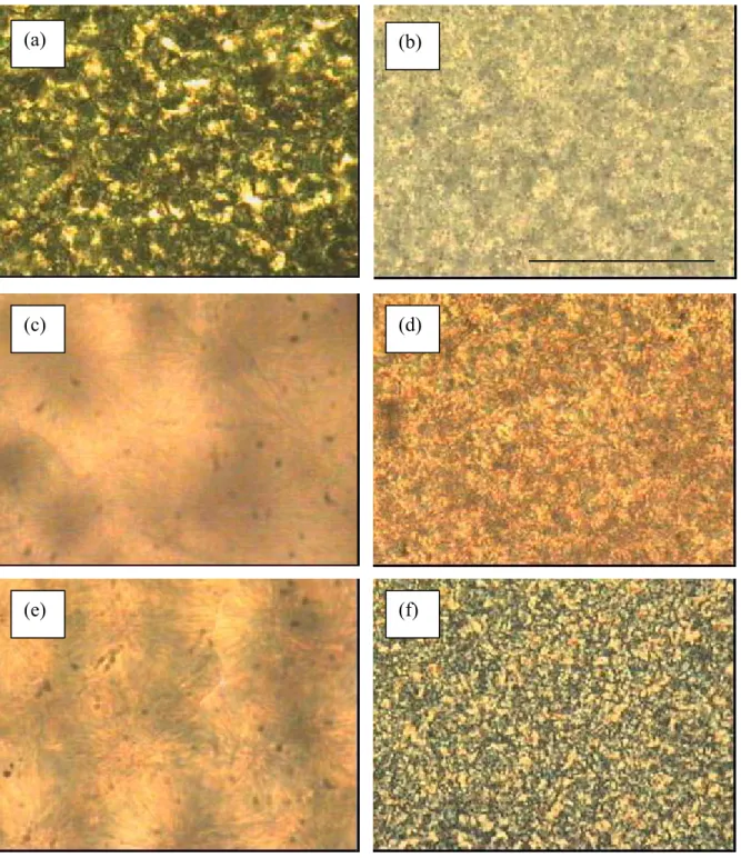 Figura 2-9. Immagini registrate al microscopio ottico a luce polarizzata, relative ai campioni di  poliuretani in forma di films, prima del ciclo di riscaldamento-raffreddamento (a, c, e), e dopo il  ciclo di riscaldamento-raffreddamento - permanenza a tem
