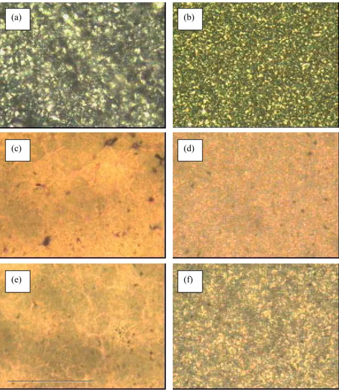 Figura 2-10. Immagini registrate al microscopio ottico a luce polarizzata, relative ai campioni di  poliuretani-uree in forma di films, prima del ciclo di riscaldamento-raffreddamento (a, c, e), e  dopo il ciclo di riscaldamento-raffreddamento - permanenza