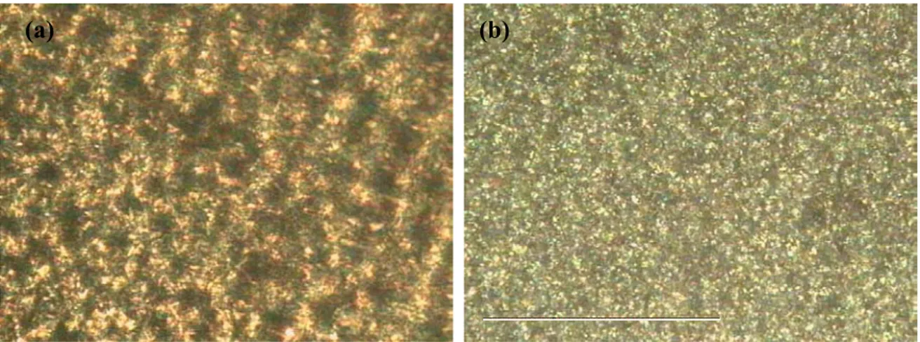 Figura 2-11. Immagini registrate al microscopio ottico a luce polarizzata, relative a un campione  di poliuretano PU4-H in forma di film: (a) prima, (b) dopo il ciclo di riscaldamento –  raffreddamento - permanenza a temperatura ambiente per 48 h