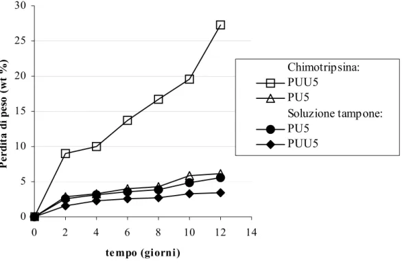 Figura 2-13. Curve di perdita di peso dei poliuretani PU5 e PUU5 nel corso delle prove di  degradazione/erosione in soluzione enzimatica e in soluzione tampone